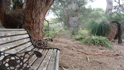 Yelverton Brook Conservation Sanctuary - Accommodation Brunswick Heads 42