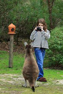 Yelverton Brook Conservation Sanctuary - Accommodation Brunswick Heads 39