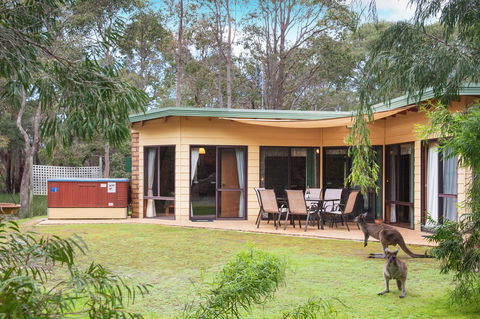 Yelverton Brook Conservation Sanctuary - Accommodation Brunswick Heads 20