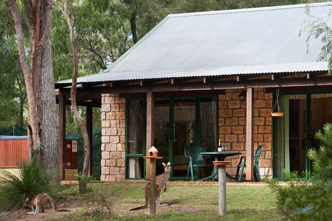 Yelverton Brook Conservation Sanctuary - Accommodation Brunswick Heads 36