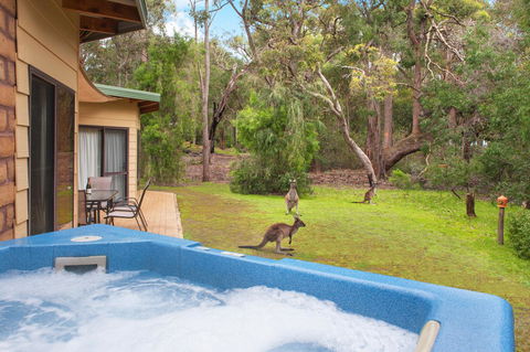 Yelverton Brook Conservation Sanctuary - Accommodation Brunswick Heads 9