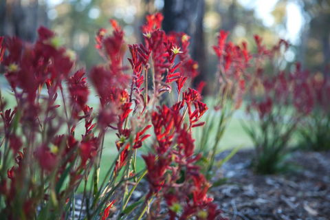 Amaroo Retreat & Spa - Accommodation Brunswick Heads 16