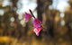 Amaroo Retreat & Spa - thumb 14