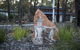 Amaroo Retreat & Spa - thumb 18