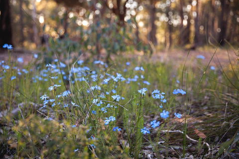 Amaroo Retreat & Spa - Accommodation Brunswick Heads 15