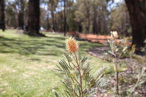 Amaroo Retreat & Spa - Accommodation Brunswick Heads 19
