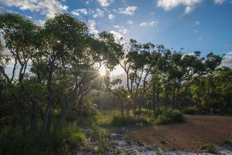 Cape Howe Cottages - Accommodation Brunswick Heads 1