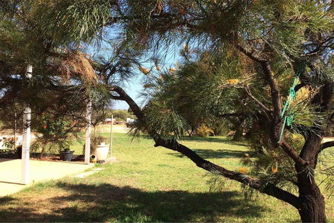 Ocean View Homestead - Accommodation Brunswick Heads 23