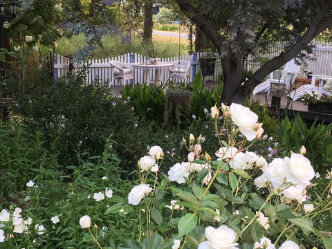 Applegate Lane Chalet - Accommodation Brunswick Heads 22