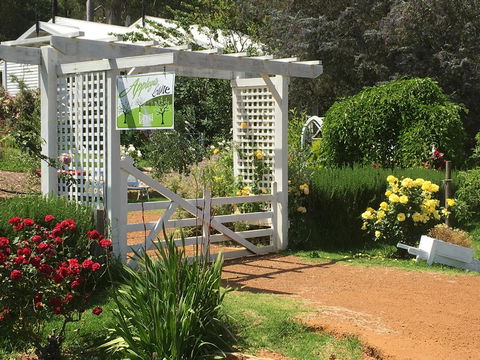Applegate Lane Chalet - Accommodation Brunswick Heads 3