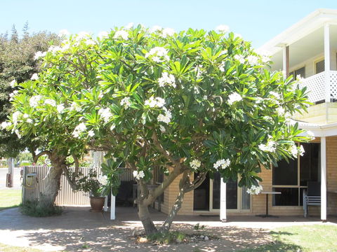 Kalbarri Riverfront Unit - Accommodation Brunswick Heads 6