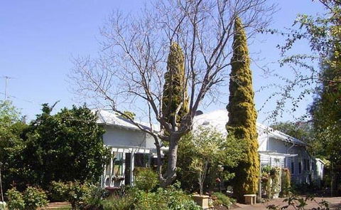 Jacaranda Guest House - Accommodation Brunswick Heads 37