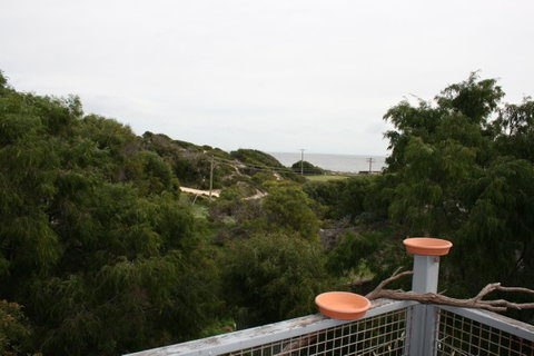 Peppy Beach Ocean Views - Accommodation Brunswick Heads 8