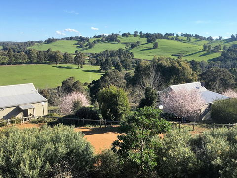 Balingup Highview Chalets - Accommodation Brunswick Heads 5