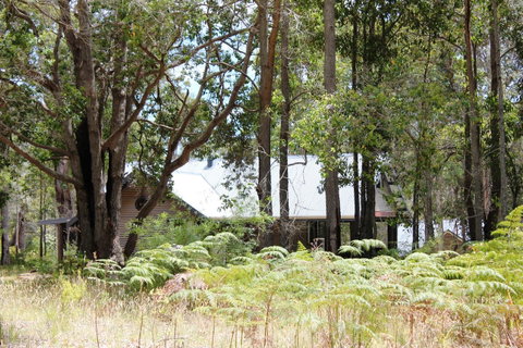 Scotsdale Valley Studios - Accommodation Brunswick Heads 12