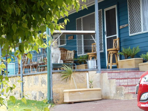 Moore River Cottage - Accommodation Brunswick Heads 2
