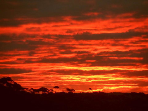 Tennessee Hill Chalets - Accommodation Brunswick Heads 3