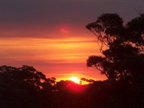 Tennessee Hill Chalets - Accommodation Brunswick Heads 9