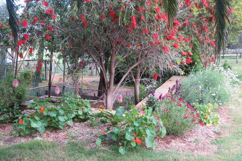 Bentwood Olive Grove Accommodation - Accommodation Brunswick Heads 21