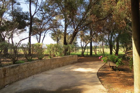Bentwood Olive Grove Accommodation - Accommodation Brunswick Heads 2
