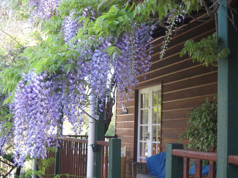 RoseMoore Bed & Breakfast - Accommodation Brunswick Heads 11