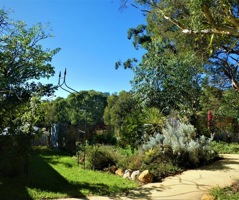 Treetops Cottage - Accommodation Brunswick Heads 14