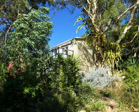 Treetops Cottage - Accommodation Brunswick Heads 13