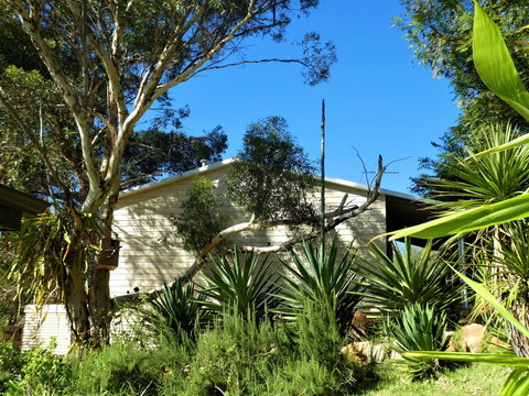 Treetops Cottage - Accommodation Brunswick Heads 4