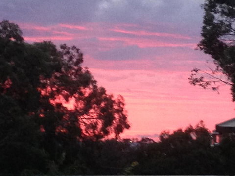 Treetops Cottage - Accommodation Brunswick Heads 30