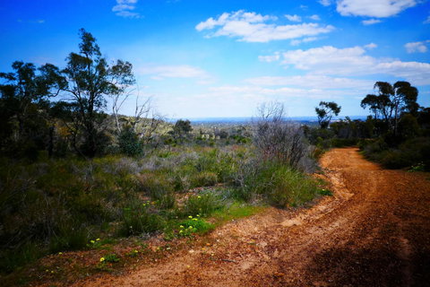 Treetops Cottage - Accommodation Brunswick Heads 35