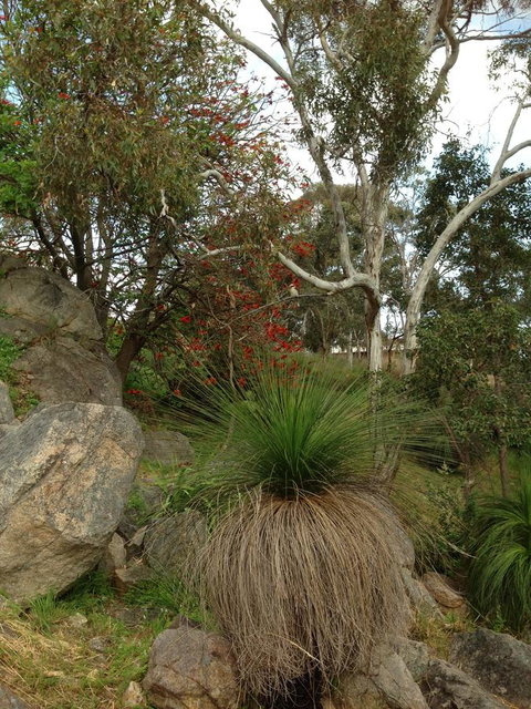 Treetops Cottage - Accommodation Brunswick Heads 26