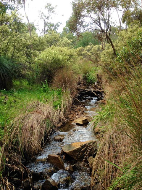 Treetops Cottage - Accommodation Brunswick Heads 22