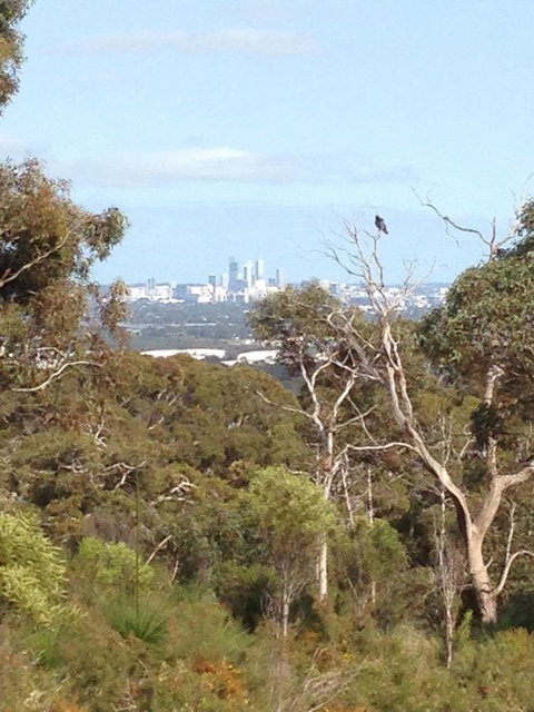 Treetops Cottage - Accommodation Brunswick Heads 38