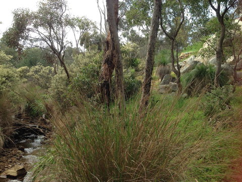 Treetops Cottage - Accommodation Brunswick Heads 24