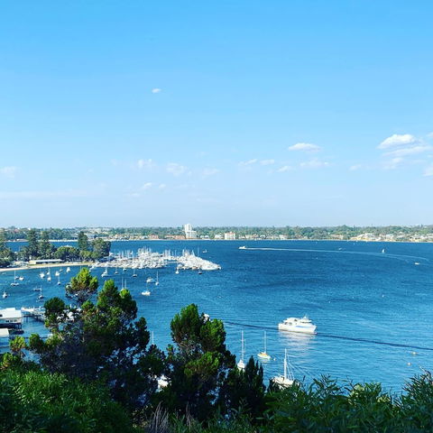 SEA BREEZE â€“ Between Cottesloe Beach & Swan River - Accommodation Brunswick Heads 23