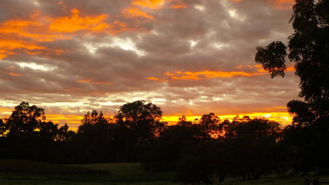 Windfall Estate Vineyard Cottage - Accommodation Brunswick Heads 32