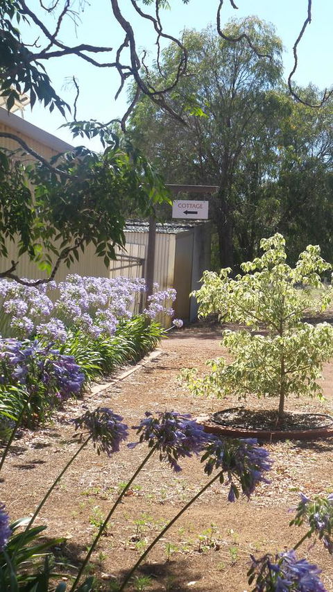 Windfall Estate Vineyard Cottage - Accommodation Brunswick Heads 13