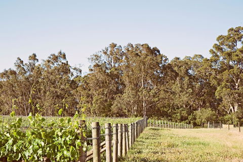 Windfall Estate Vineyard Cottage - Accommodation Brunswick Heads 23