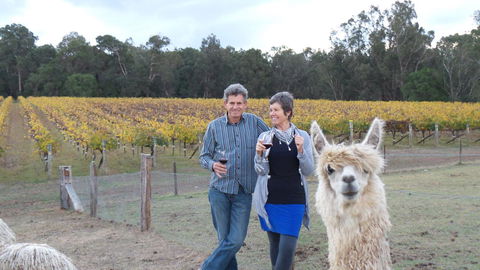 Windfall Estate Vineyard Cottage - Accommodation Brunswick Heads 11