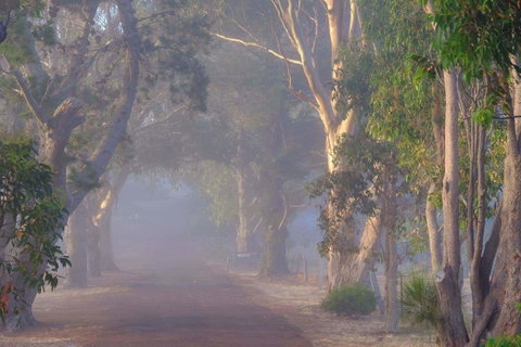 Seaview And Spa At Torbay - Accommodation Brunswick Heads 2
