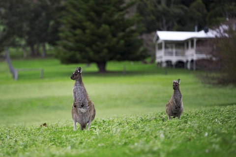 Sienna Lodge - Accommodation Brunswick Heads 14