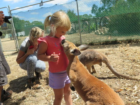Jurien Beachfront Holiday Units - Accommodation Brunswick Heads 36