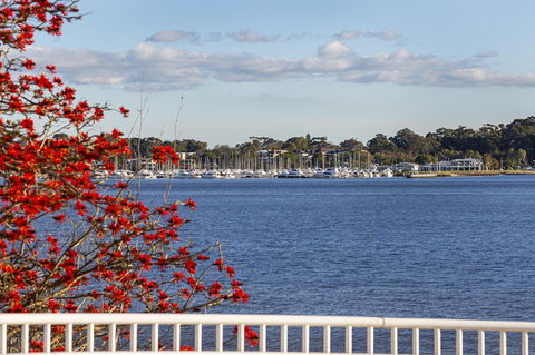 Como Executive Apartment - Accommodation Brunswick Heads 22
