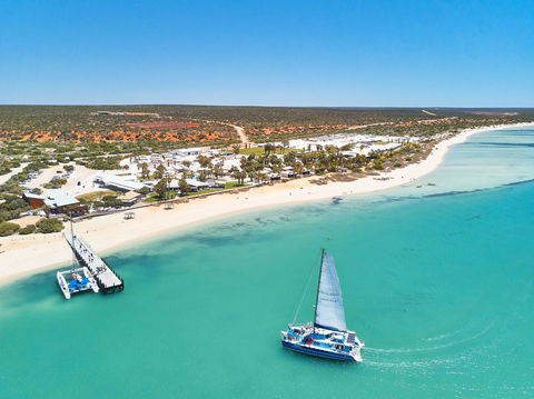 RAC Monkey Mia Dolphin Resort - Accommodation Brunswick Heads 44