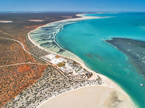 RAC Monkey Mia Dolphin Resort - Accommodation Brunswick Heads 43