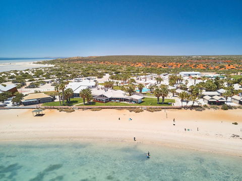 RAC Monkey Mia Dolphin Resort - Accommodation Brunswick Heads 42
