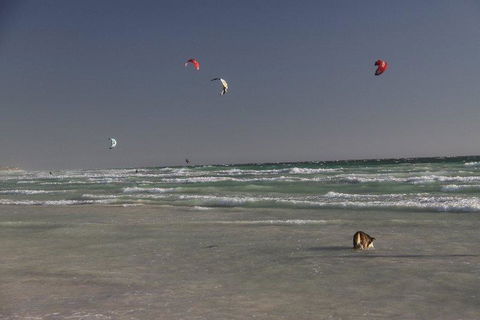 Dongara Tourist Park - Accommodation Brunswick Heads 33