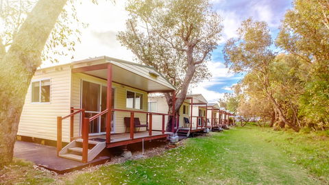 Australind Tourist Park - Accommodation Brunswick Heads 0
