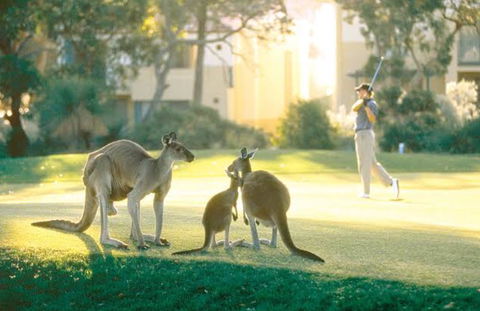 Ocean Reef Vista - Accommodation Brunswick Heads 22