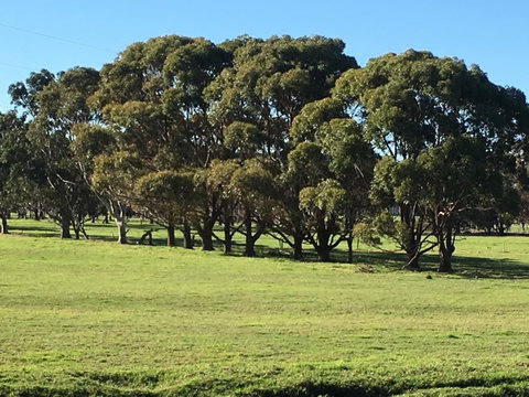 Cosy Corner Chalets - Accommodation Brunswick Heads 2